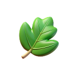 Brisbane Immigration Agent